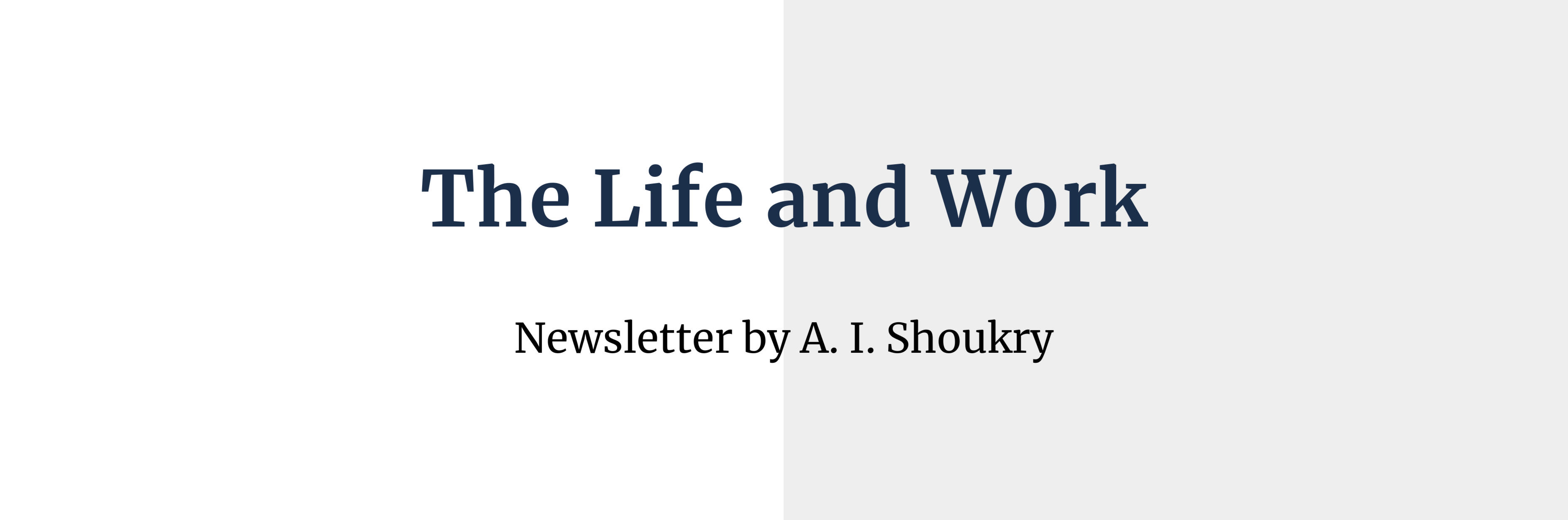 the life and work newsletter by a i shoukry